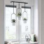 umbra triflora hanging planter, indoor herb garden, set, view 11