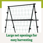 gardener's supply company titan a-frame trellis | strong showing dimensions