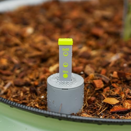 rolling citrus tree planter gen 3, self-watering 24” on a desk or shelf