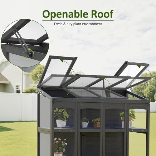 mcombo wooden walk-in greenhouse open roof & lockable showing dimensions