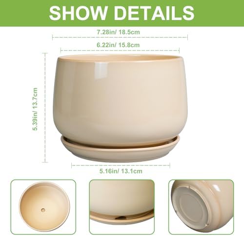 g epgardening ceramic planter, 7 inch plant pots, close-up detail