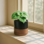 D'vine Dev 4.7 Inch Ceramic Planter Pot, Black/Tan, 94-O-B-7 | Modern Cylinder Design, Drainage Hole & Saucer Included, Stable Structure, Elegant Home Accent