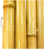 backyard x-scapes bama-bf023 bamboo fencing, 3/4" d x, close-up detail
