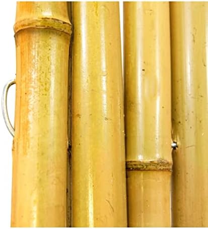 backyard x-scapes bama-bf023 bamboo fencing, 3/4" d x, close-up detail
