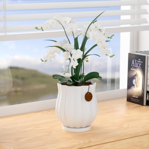 7.1" matte white ceramic plant pot with saucer, front angle view