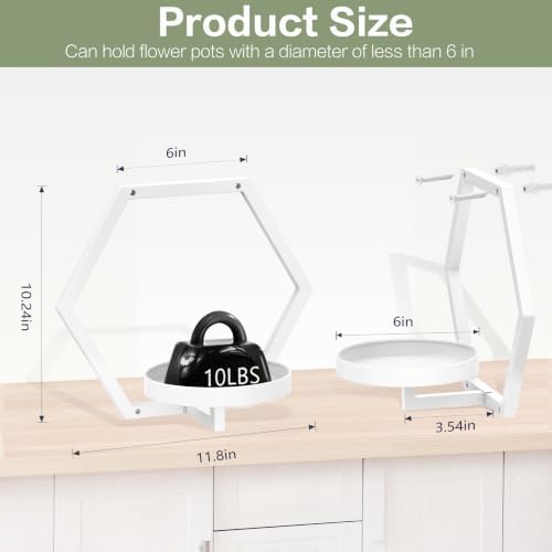 3 packs wall planters for indoor plants, 5.9inch shown in use