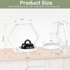 3 packs wall planters for indoor plants, 5.9inch shown in use