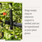gardener's supply company titan extra tall tomato cages, close-up detail