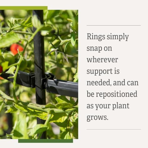 gardener's supply company titan extra tall tomato cages, close-up detail