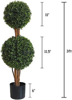 lifelike indoor&outdoor use 3ft boxwood double ball topiary shown in use