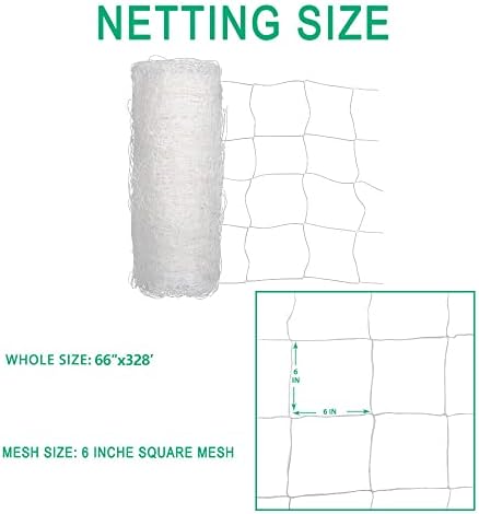 heavy duty trellis netting roll - 67''x328' plastic shown in use