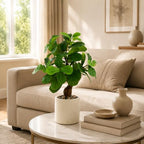 17.5 inch artificial fiddle leaf fig tree in, package contents