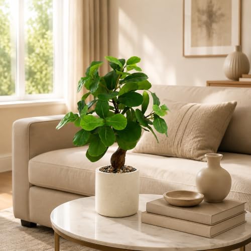 17.5 inch artificial fiddle leaf fig tree in, package contents