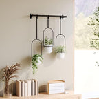 umbra triflora hanging planter, indoor herb garden, set, package contents