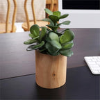 artificial succulents plastic artificial green plant for office showing dimensions
