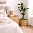 nearly natural 48 in artificial dracaena real touch, view 13