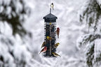 squirrel solution200 squirrel-proof bird feeder w/6 feeding ports, package contents