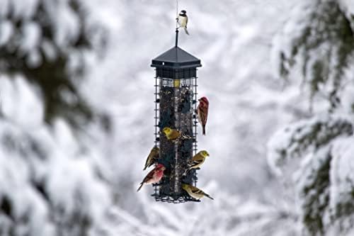 squirrel solution200 squirrel-proof bird feeder w/6 feeding ports, package contents