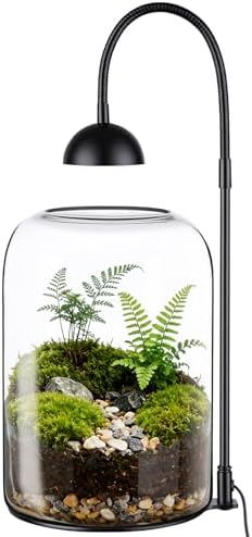 glass plant terrarium, led grow light, adjustable ventilation, main product view