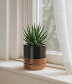 D'vine Dev 4.7 Inch Ceramic Planter Pot, Black/Tan, 94-O-B-7 | Modern Cylinder Design, Drainage Hole & Saucer Included, Stable Structure, Elegant Home Accent