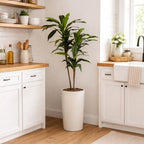 nearly natural 48 in artificial dracaena real touch, view 12