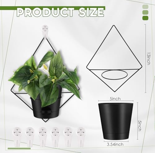 baderke 6 sets wall planters for indoor plants shown in use