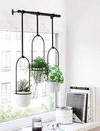 umbra triflora hanging planter, indoor herb garden, set, view 10