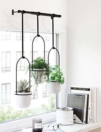 umbra triflora hanging planter, indoor herb garden, set, view 10