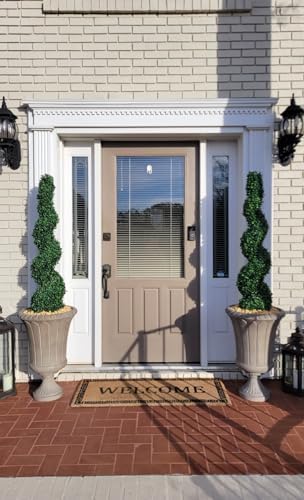 all season green 4' spiral boxwood topiary trees, close-up detail