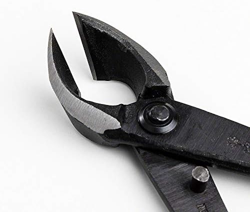wazakura bonsai tool kit, satsuki scissors and concave, side view