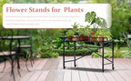 zhongma window height sturdy metal plant stand with, front angle view