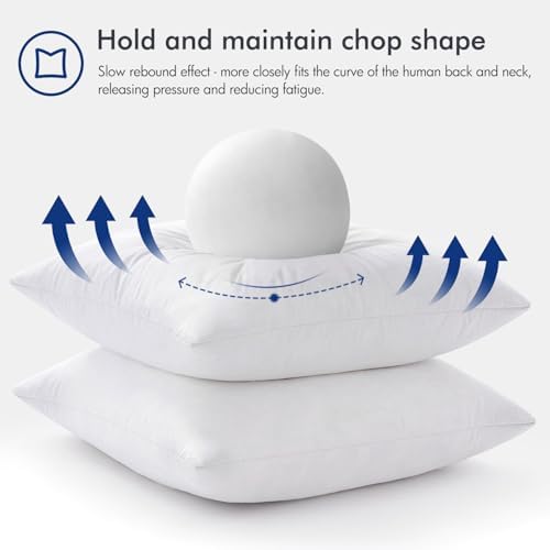 miulee 22x22 pillow inserts, set of 2 feather, package contents