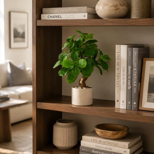 17.5 inch artificial fiddle leaf fig tree in showing dimensions