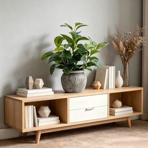 alphaacc 12.8" artificial ficus plant in cement pot, package contents