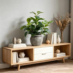 alphaacc 12.8" artificial ficus plant in cement pot, package contents