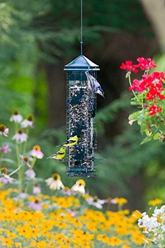 squirrel solution200 squirrel-proof bird feeder w/6 feeding ports showing dimensions