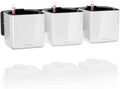 Lechuza Green Wall Home Kit Glossy Cream White High Gloss, 3 Self-Watering Hanging Planters on Metal Bar, H5.5 L18.9 W5.9 in