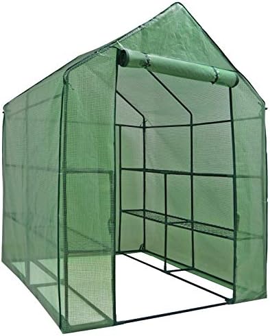 2-tier 8-shelf mini walk-in greenhouse portable plant herb, close-up detail