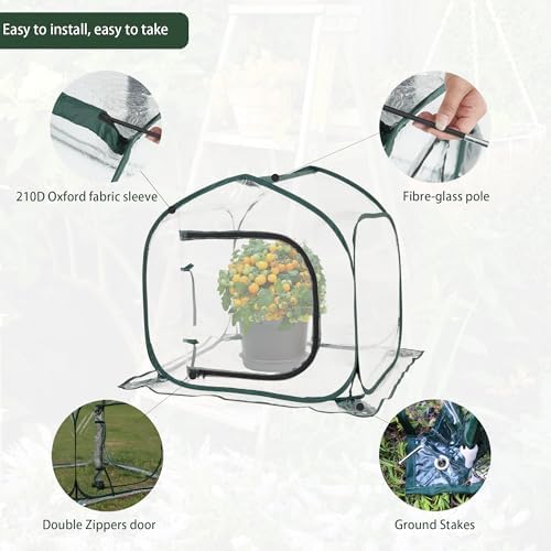 mini transparent pop up greenhouse for indoor and, close-up detail