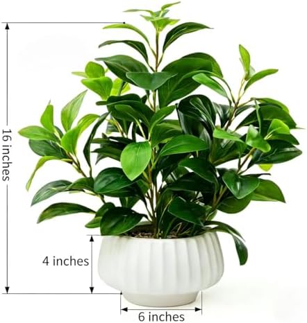 artificial peperomia plants 16” tall lifelike faux greenery shown in use
