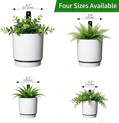 wall mounted hanging planter vase for indoor outdoor showing dimensions