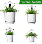 wall mounted hanging planter vase for indoor outdoor showing dimensions