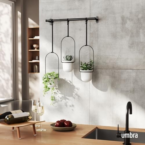 umbra triflora hanging planter, indoor herb garden, set shown in use