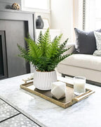 dilatata faux plant indoor in ceramic pot 12", package contents
