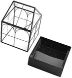 highfree glass terrarium with metal tray, glass greenhouse, front angle view