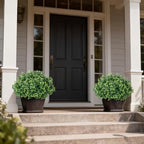 2 sets artificial boxwood topiary ball trees for, view 9