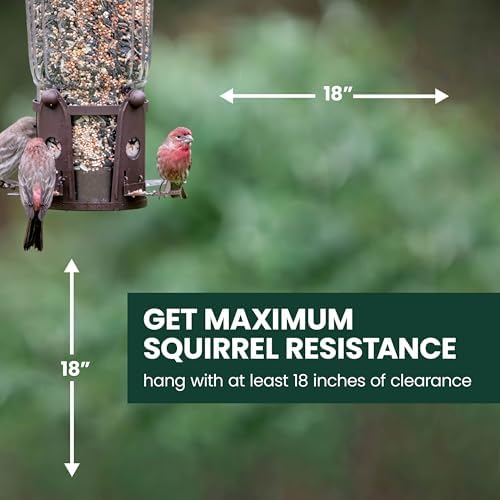 perky-pet squirrel-be-gone max bird feeder, (4) flexport feeding on a desk or shelf