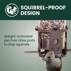 perky-pet squirrel-be-gone max bird feeder, (4) flexport feeding shown in use
