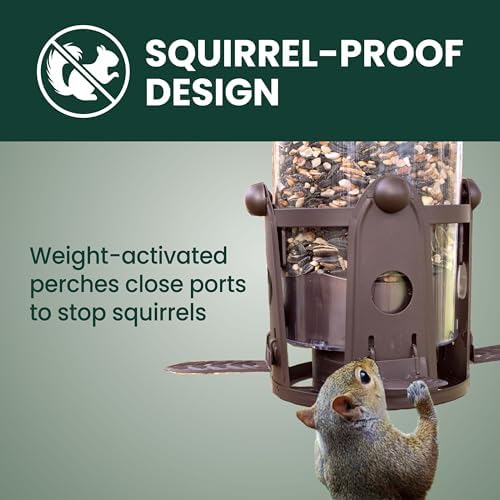 perky-pet squirrel-be-gone max bird feeder, (4) flexport feeding shown in use
