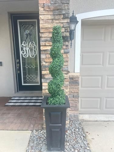 all season green 4' spiral boxwood topiary trees, side view